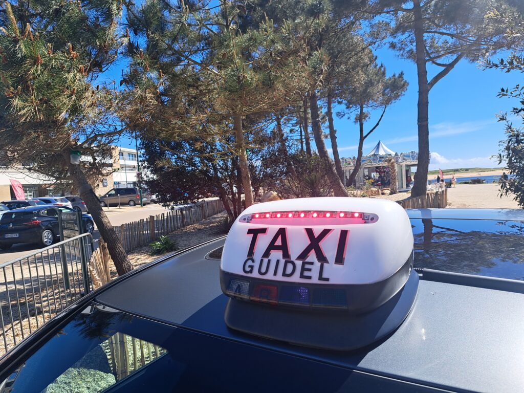 lumineux taxi guidel