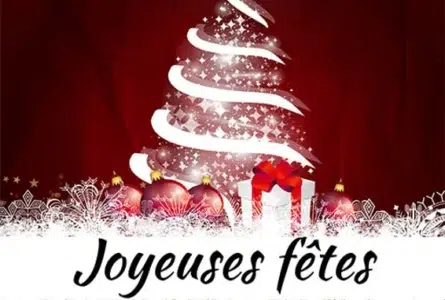 Joyeuses fêtes de fin d’année !